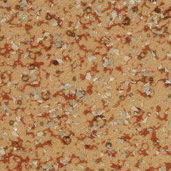 beige 37