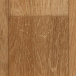 oak 01